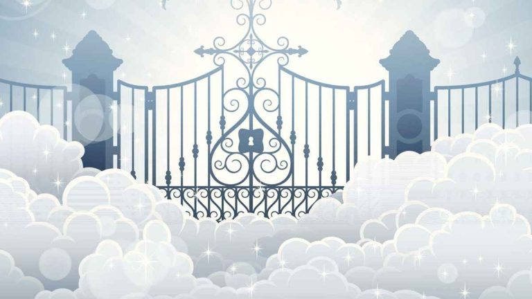 jannat_20231208_180529902