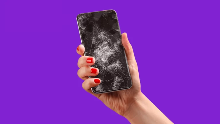 bima_main_20240629_140337695