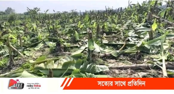 received_1912879672591609