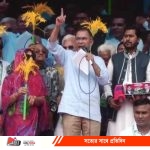 Tarequej_20260204_143105573